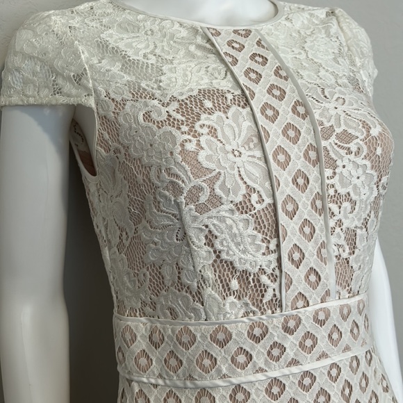 Coast lace detail dress - Picture 2 of 3